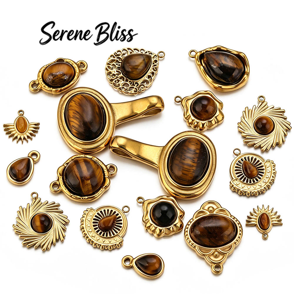 Moon Star Earrings - 2/3/4/5pcs Stainless Steel Charm Inlay Tiger's