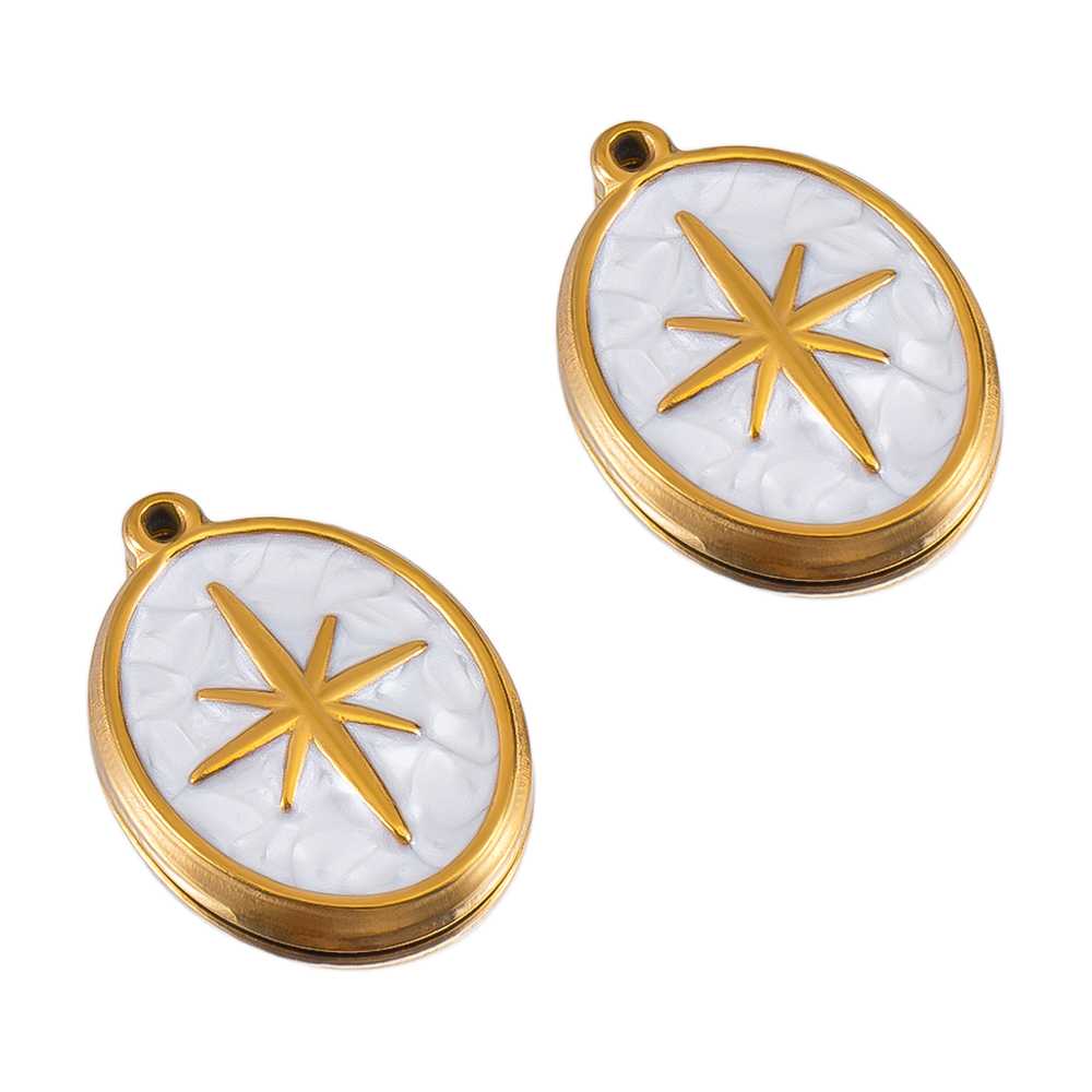 2pcs White Enamel Stainless St - Moon Star Earrings review and price